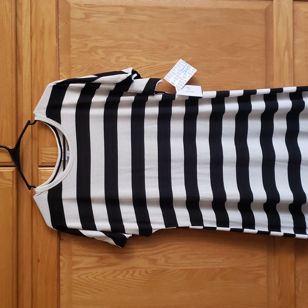 Lularoe Maria Brand New